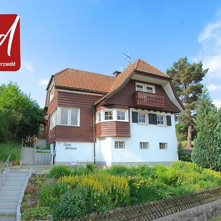 Haus Frohsinn- Feldberg Im Schwarzwald Экстерьер фото
